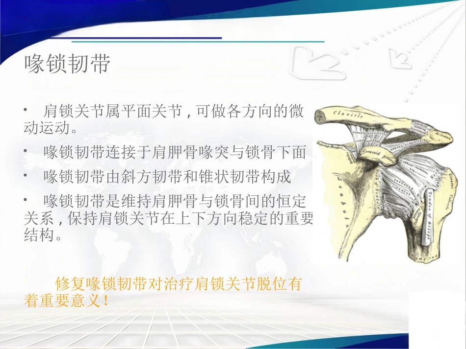 双ENDOBUTTON技术重建肩锁关节_第7页