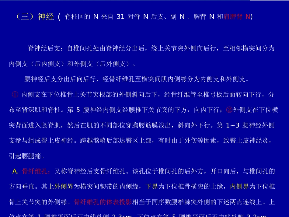 脊柱局部解剖_第12页