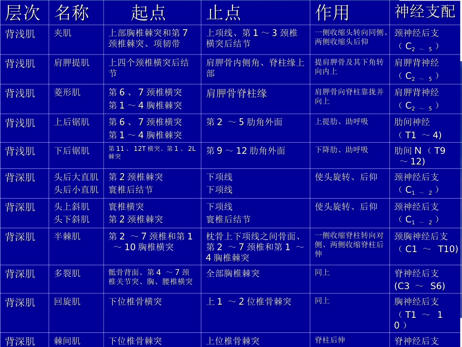 脊柱局部解剖_第8页