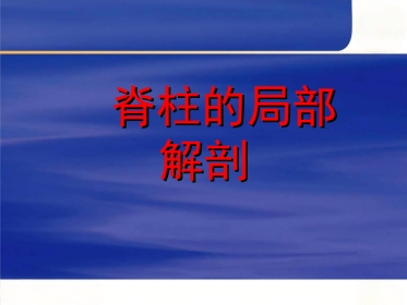 脊柱局部解剖