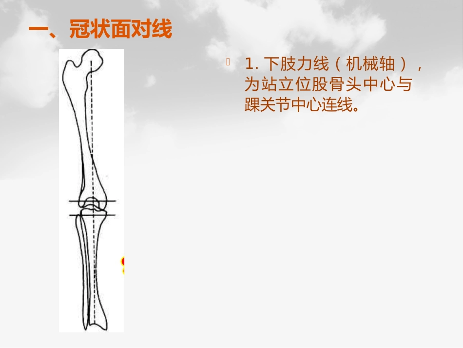 全膝膝关节置换基本理论_第11页