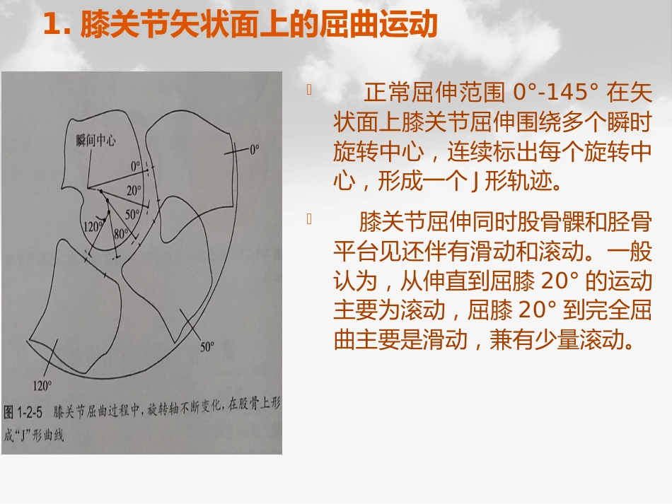全膝膝关节置换基本理论_第6页