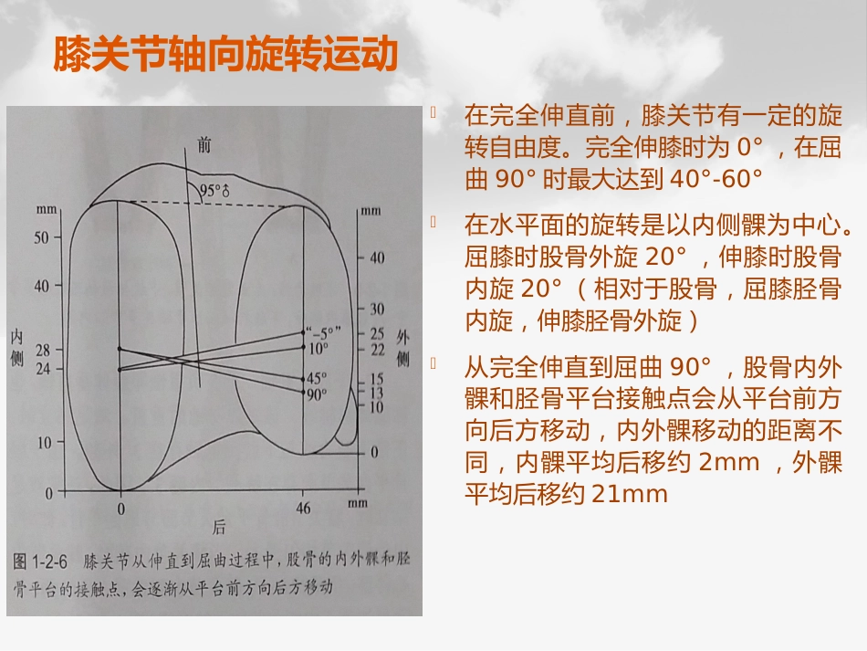全膝膝关节置换基本理论_第7页