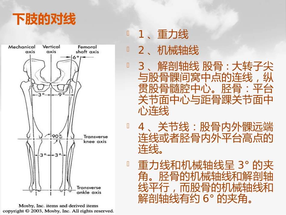 全膝膝关节置换基本理论_第9页