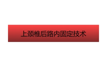 上颈椎后路内固定技术