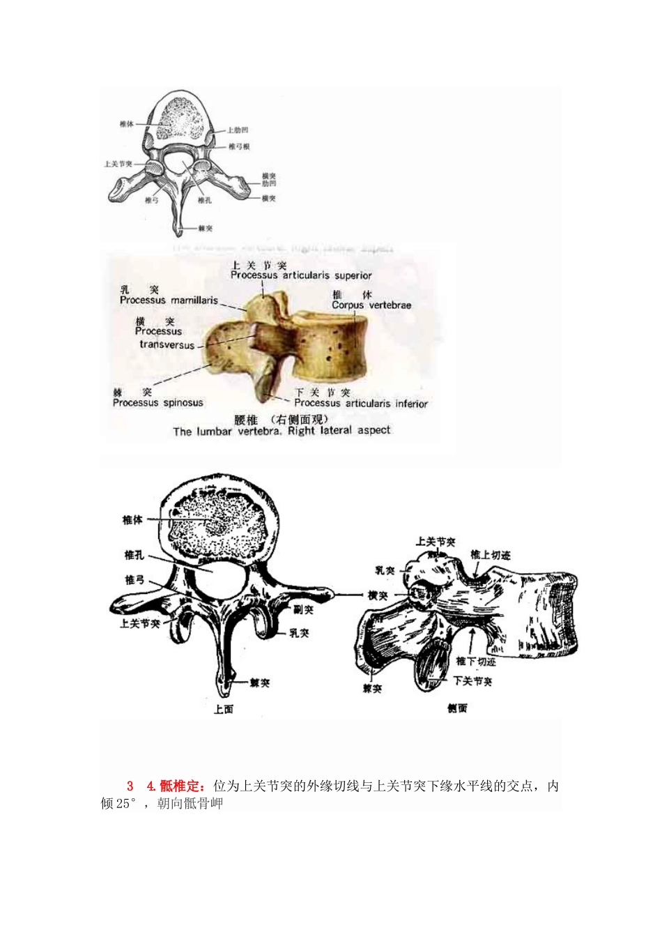 脊椎椎弓根钉进钉点的确定及手术技巧_第7页
