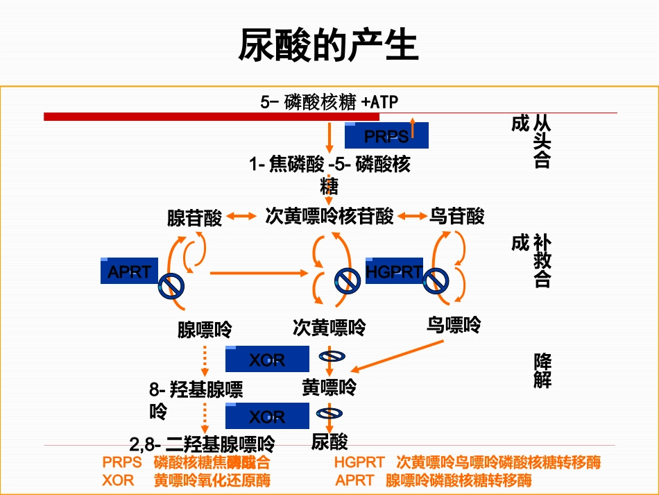 痛风性关节炎的规范化治疗_第14页