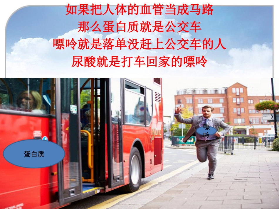 痛风帝王病的治疗_第13页