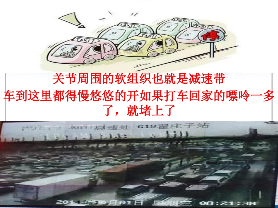 痛风帝王病的治疗_第14页