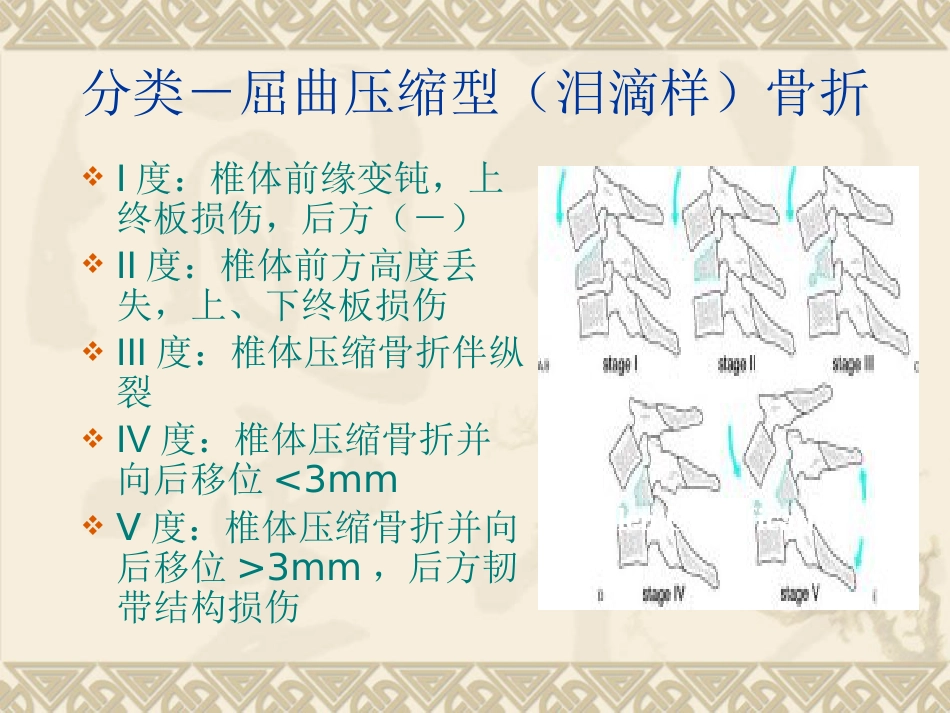 颈椎骨折脱位诊断与治疗_第6页