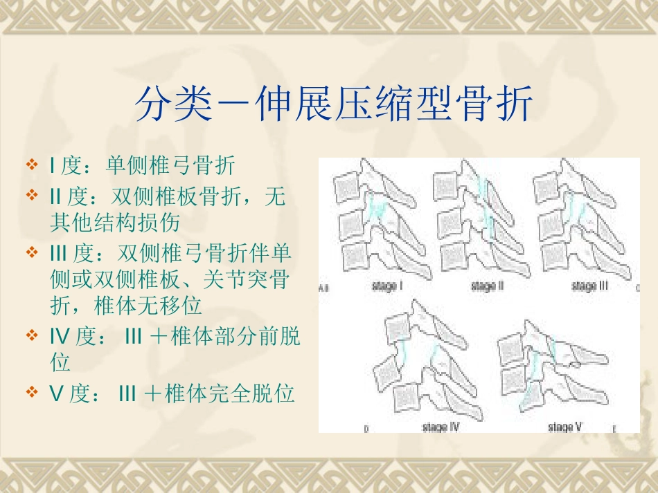 颈椎骨折脱位诊断与治疗_第8页