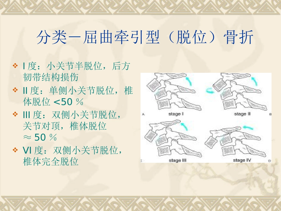 颈椎骨折脱位诊断与治疗_第9页