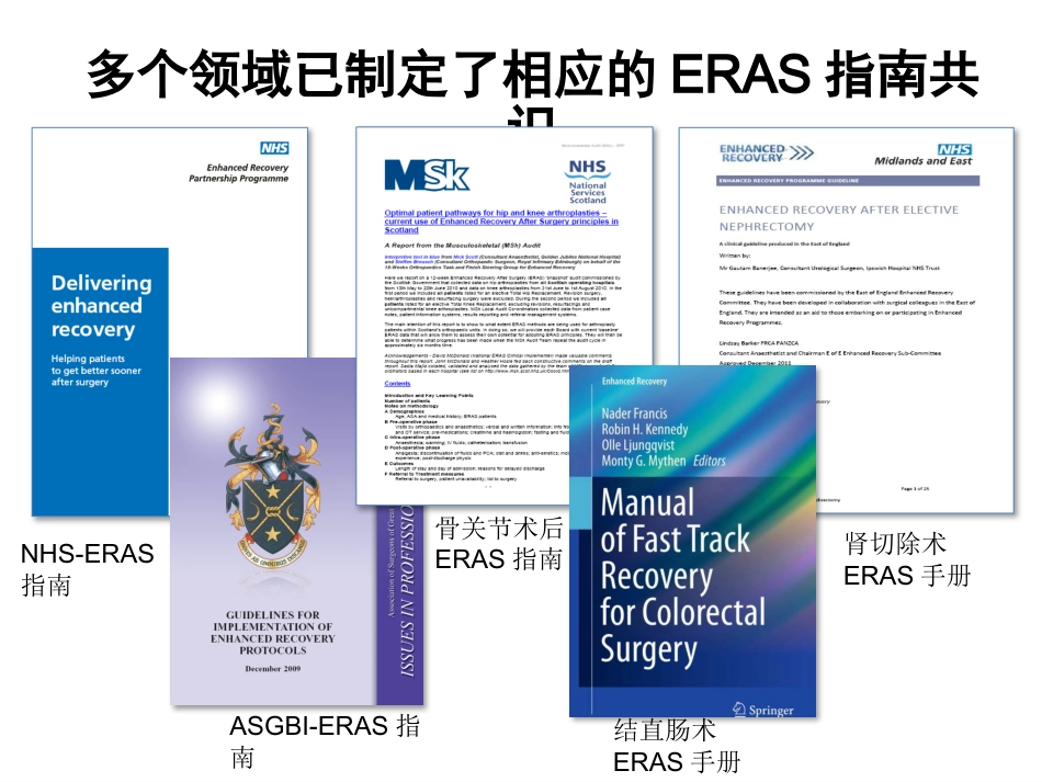 骨科快速康复(ERAS)PPT课件_第11页