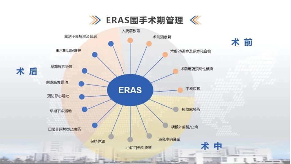 骨科康复加速康复科理念、围手术期疼痛评估及管理、术后疼痛流行_第5页