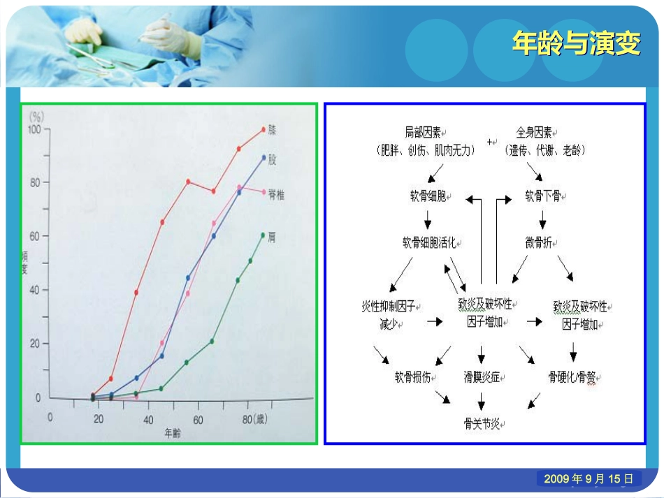 老年性骨性关节炎_第12页