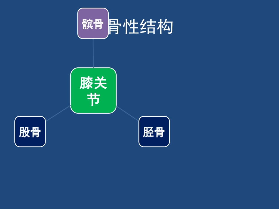 膝关节解剖详细图解_第5页