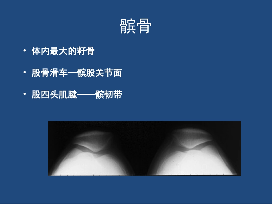 膝关节解剖详细图解_第6页