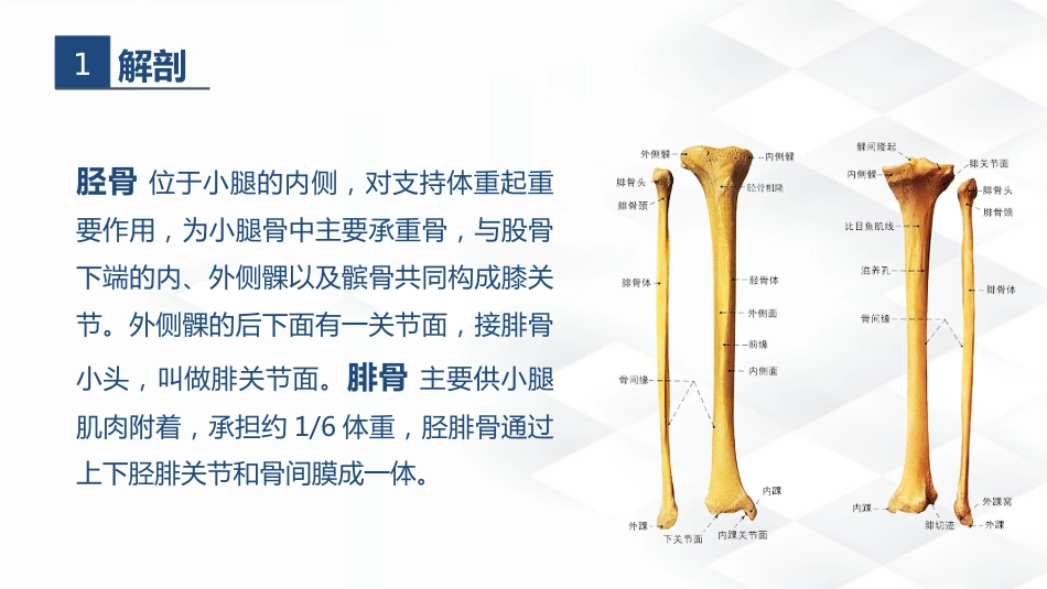 骨科-胫腓骨骨折教育查房_第4页