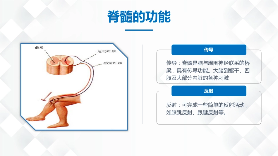 脊柱骨科-脊髓损伤护理查房_第11页