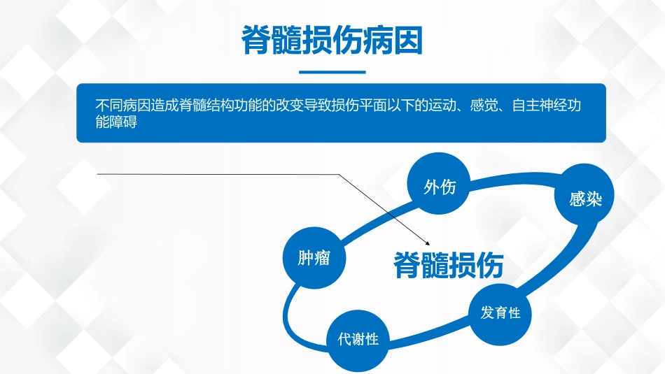 脊柱骨科-脊髓损伤护理查房_第12页