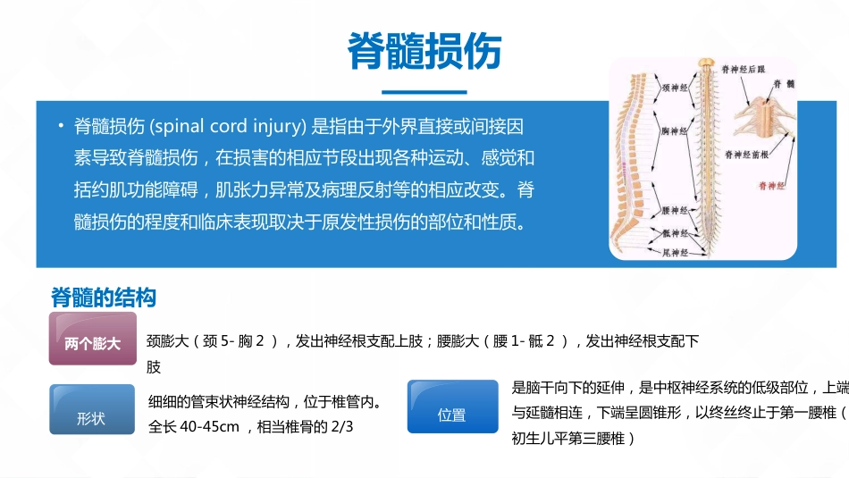 脊柱骨科-脊髓损伤护理查房_第9页