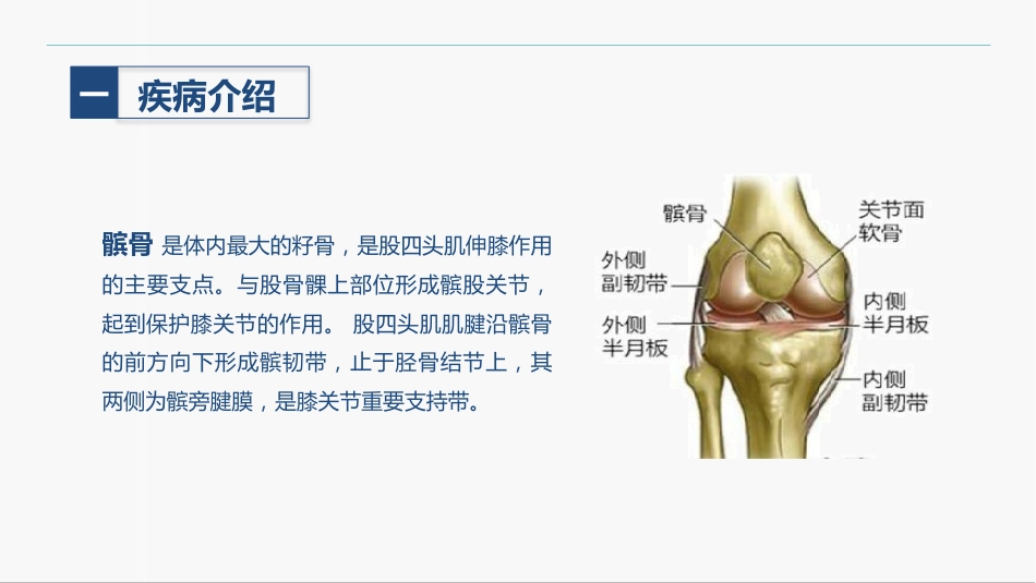 髌骨骨折的护理查房_第3页