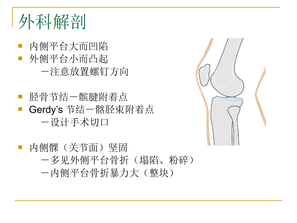胫骨平台骨折的分型与治疗_第2页