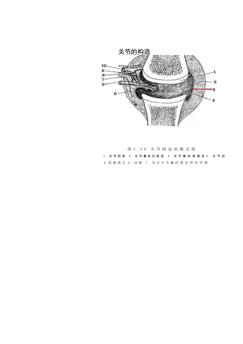 类风湿性关节炎的诊断及治疗策略_第5页