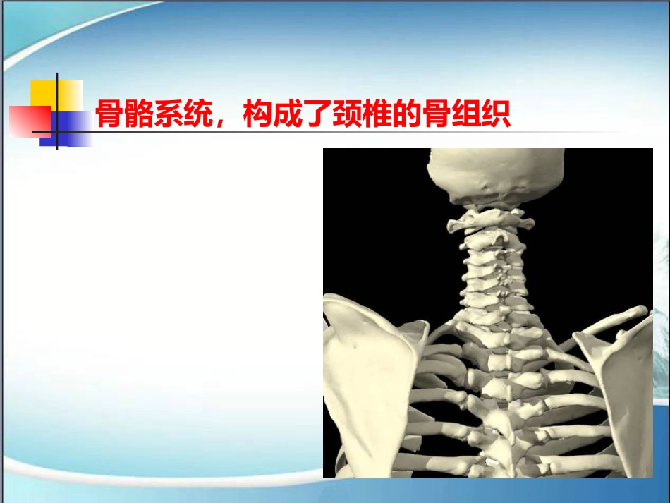 颈椎病的诊断与治疗(1)_第7页
