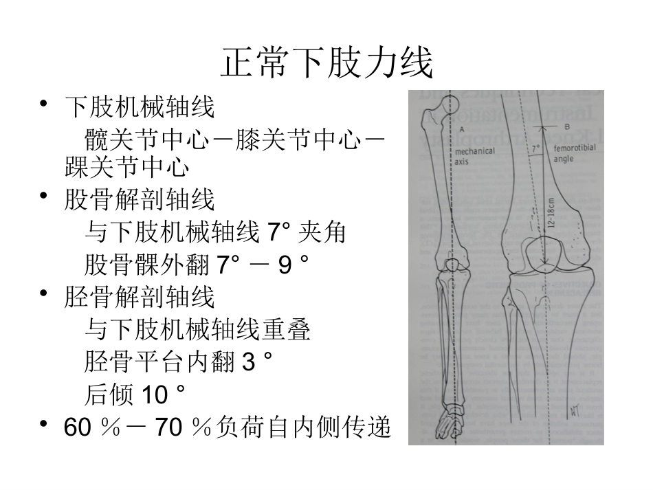 全膝关节置换术力线(1)_第6页