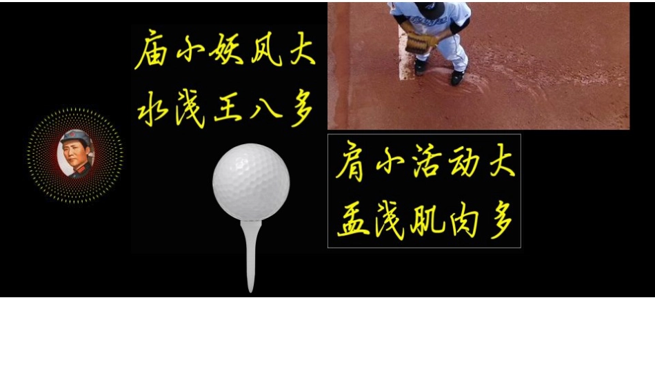 肩关节周围手术入路(1)_第3页