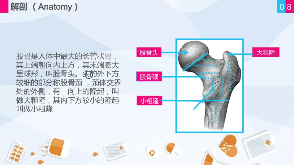 骨科-股骨颈骨折护理查房 (2)_第8页
