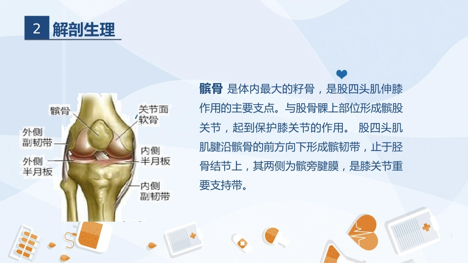 骨科-髌骨骨折的护理查房2_第5页
