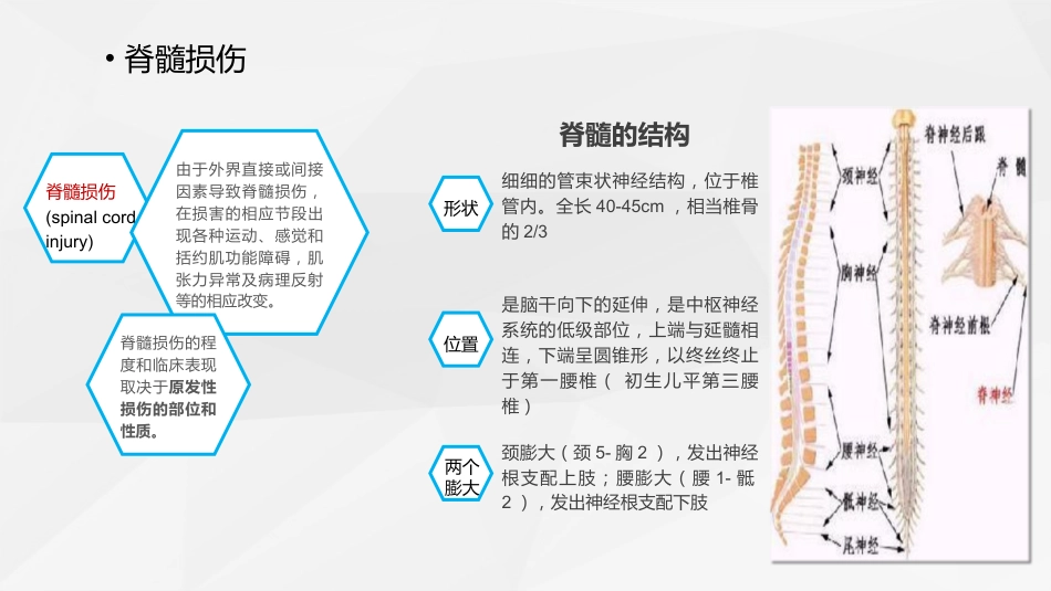 脊柱骨科-脊髓损伤护理查房 (2)_第10页