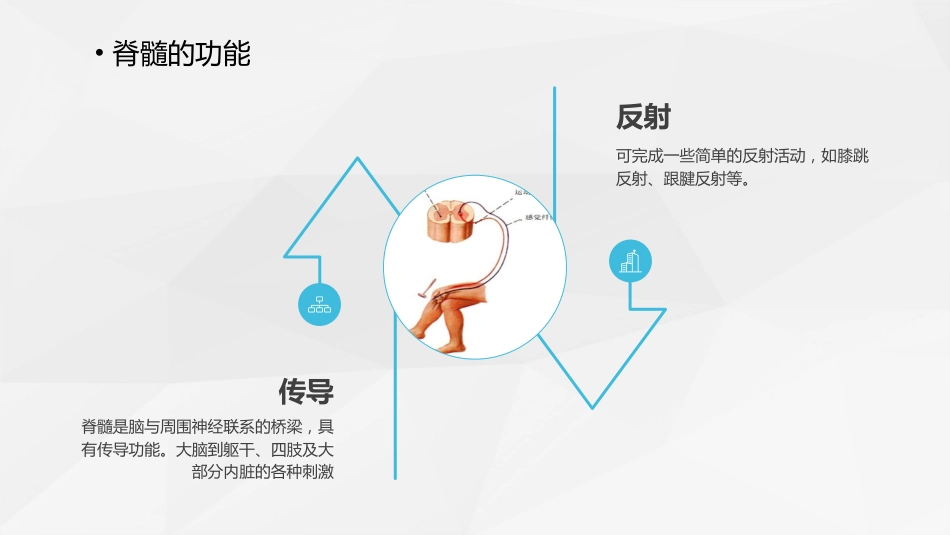 脊柱骨科-脊髓损伤护理查房 (2)_第11页