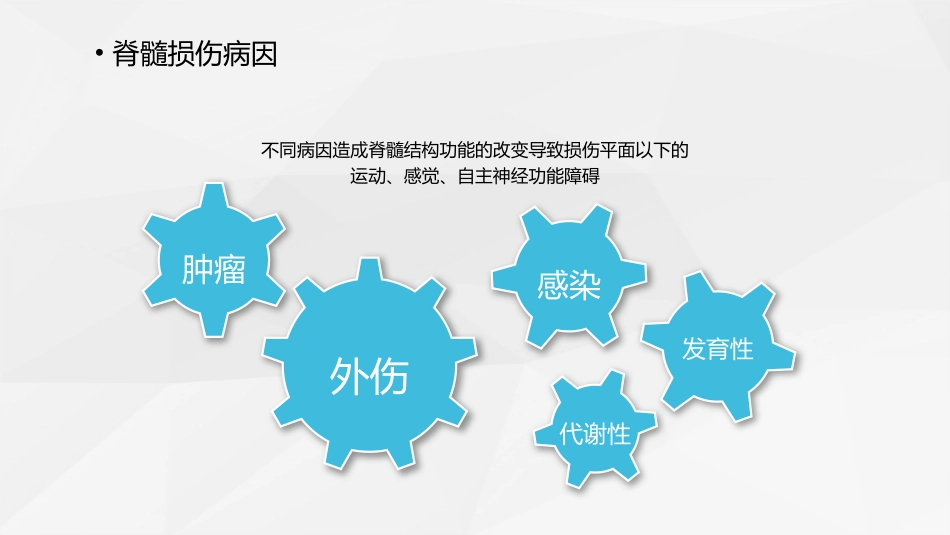 脊柱骨科-脊髓损伤护理查房 (2)_第12页