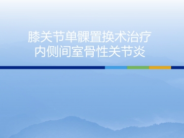 膝关节单髁置换-2