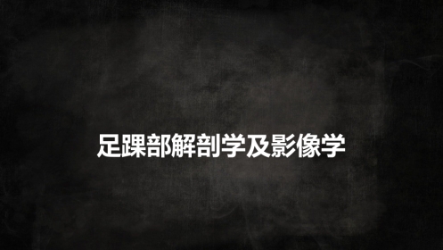 足踝解剖2