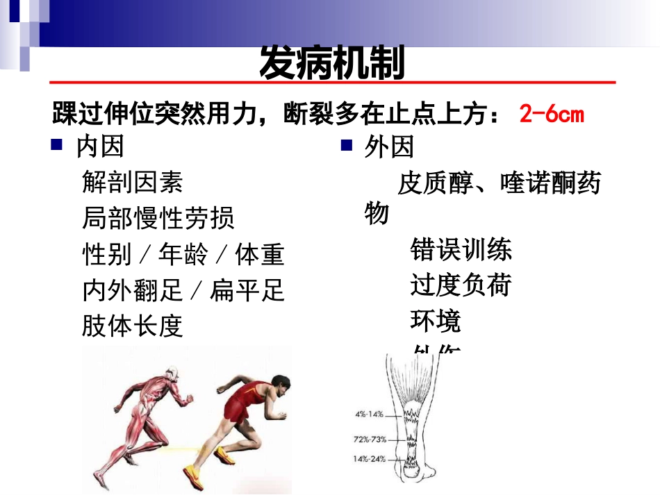 急性跟腱中部断裂的诊治 (3)_第4页
