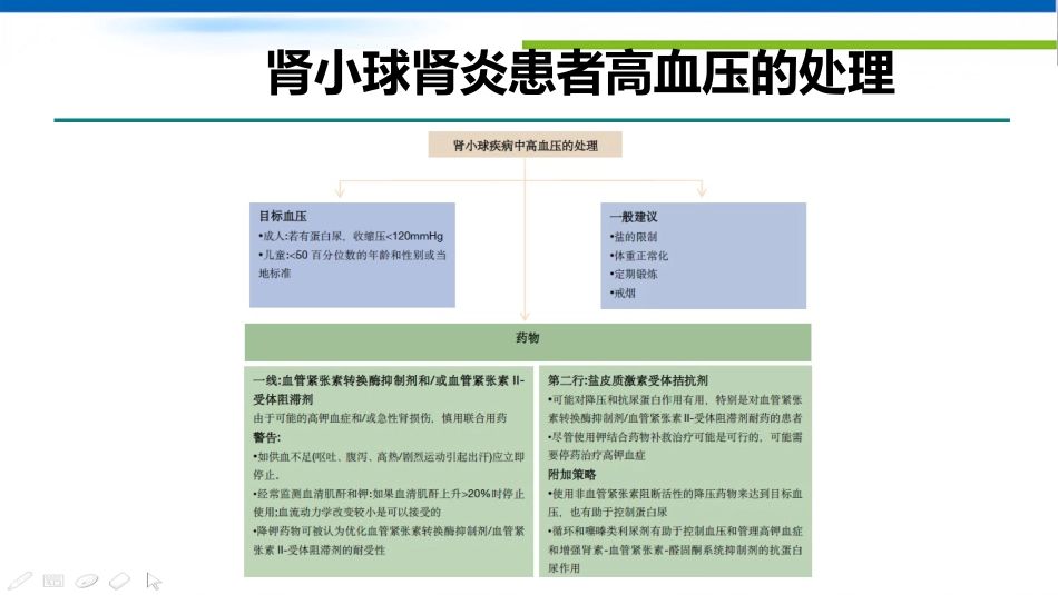 IgA肾病和IgA血管炎_第10页