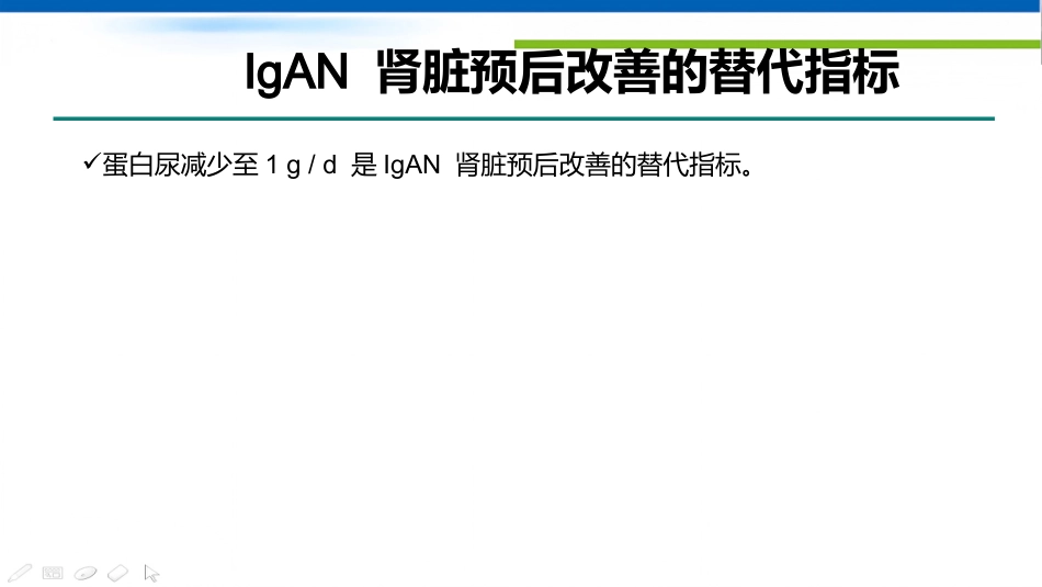 IgA肾病和IgA血管炎_第12页