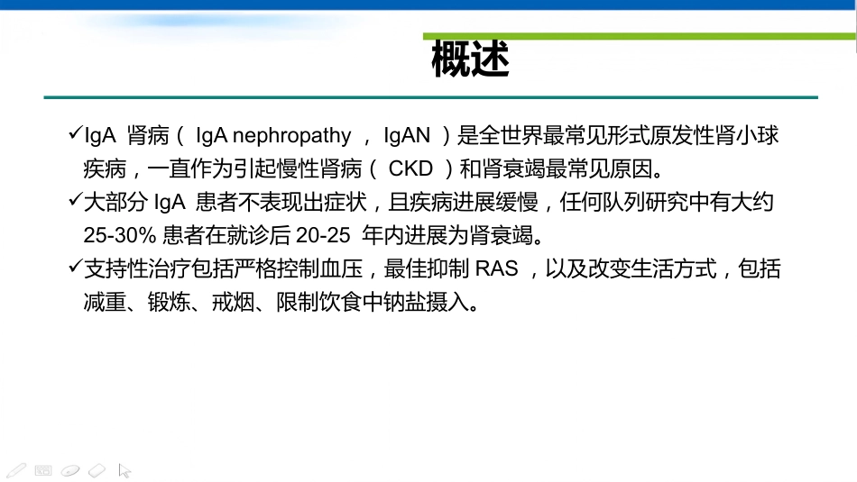 IgA肾病和IgA血管炎_第3页