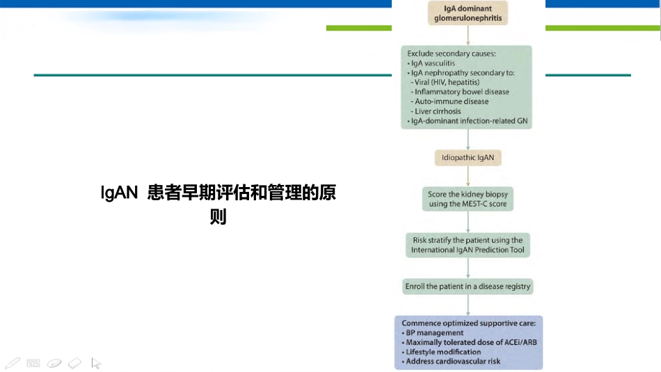 IgA肾病和IgA血管炎_第8页