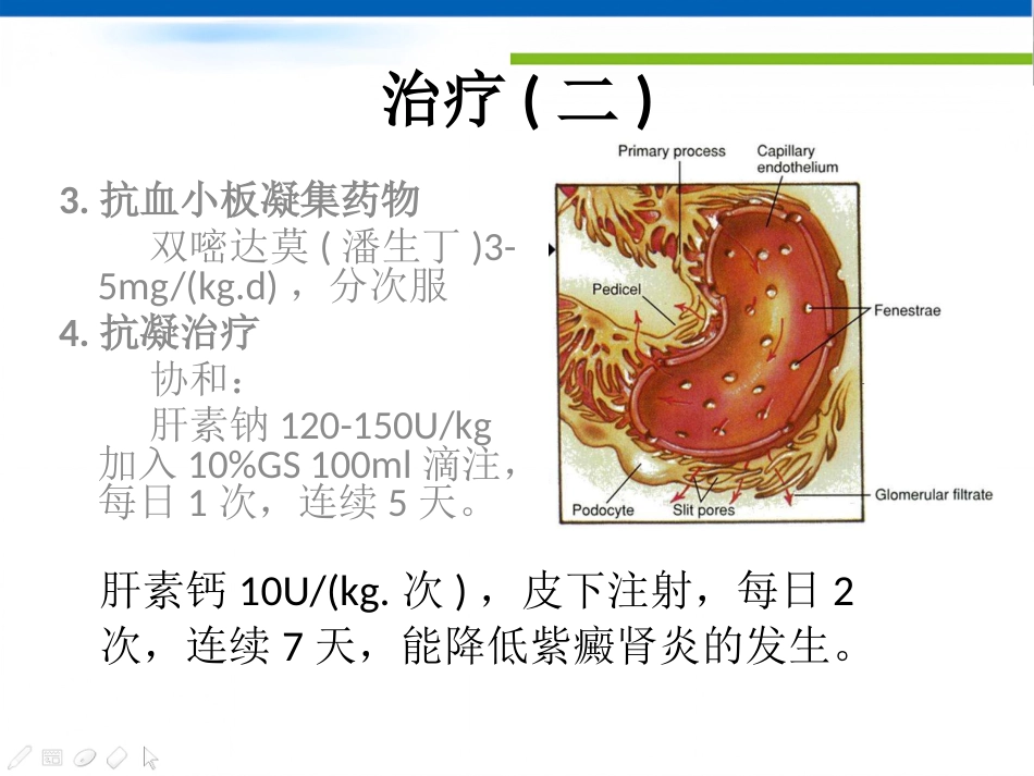 过敏性紫癜_第13页