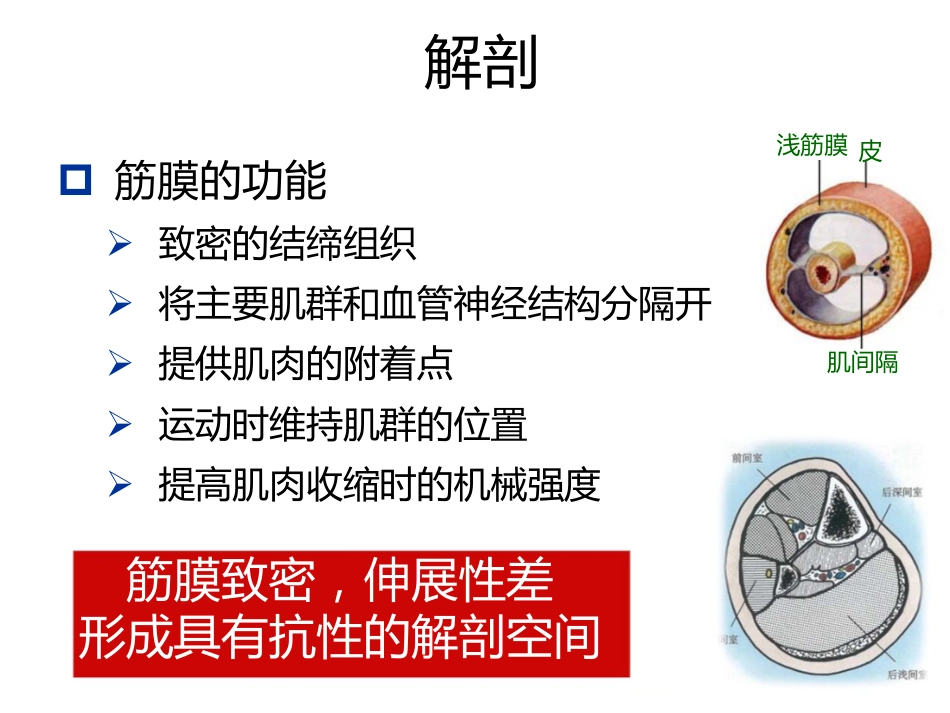 骨筋膜室综合征的诊治进展(1)_第11页