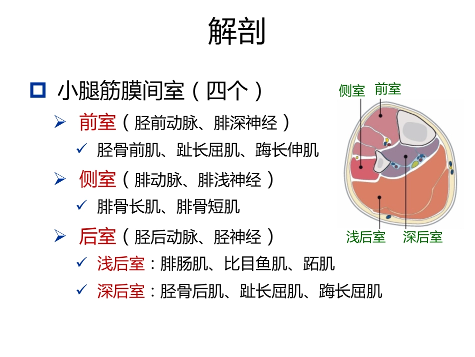 骨筋膜室综合征的诊治进展(1)_第12页
