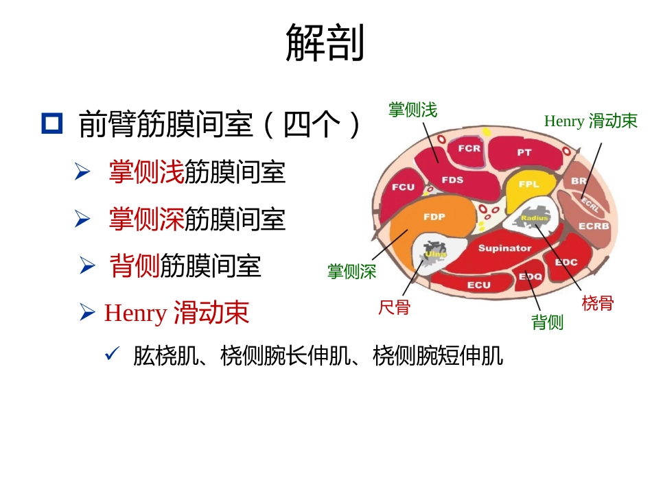 骨筋膜室综合征的诊治进展(1)_第13页