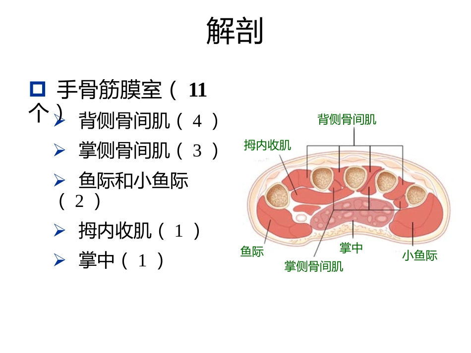 骨筋膜室综合征的诊治进展(1)_第14页