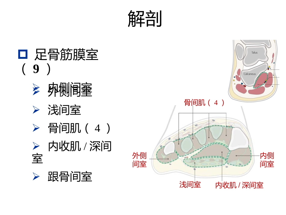 骨筋膜室综合征的诊治进展(1)_第15页
