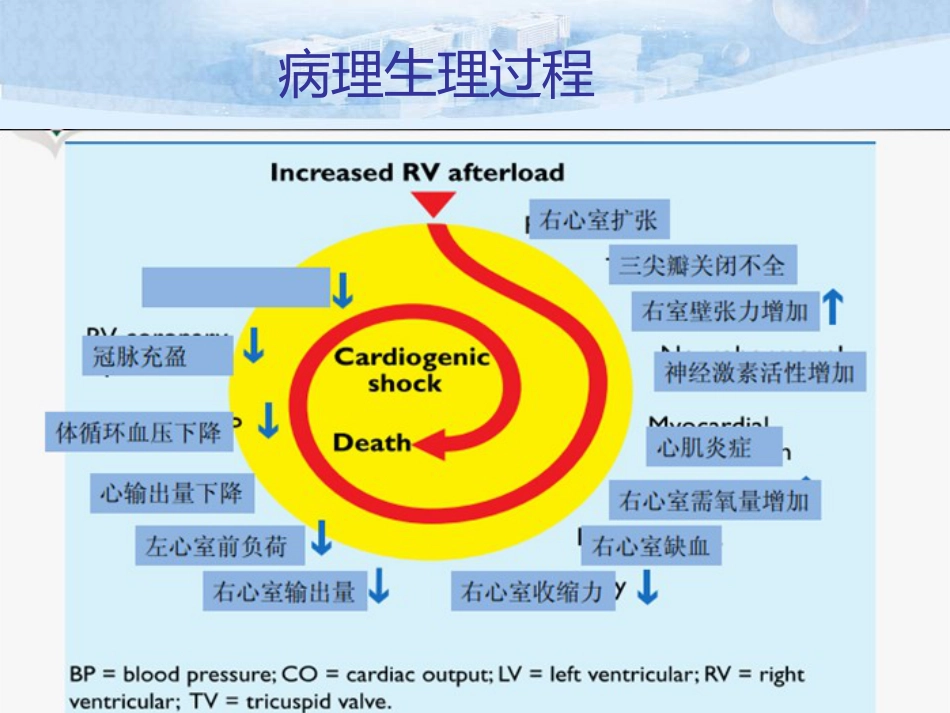 肺栓塞的诊治及护理_第13页